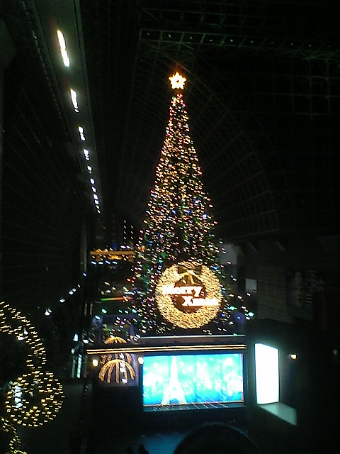 Xmas in KYOTO 001.jpg